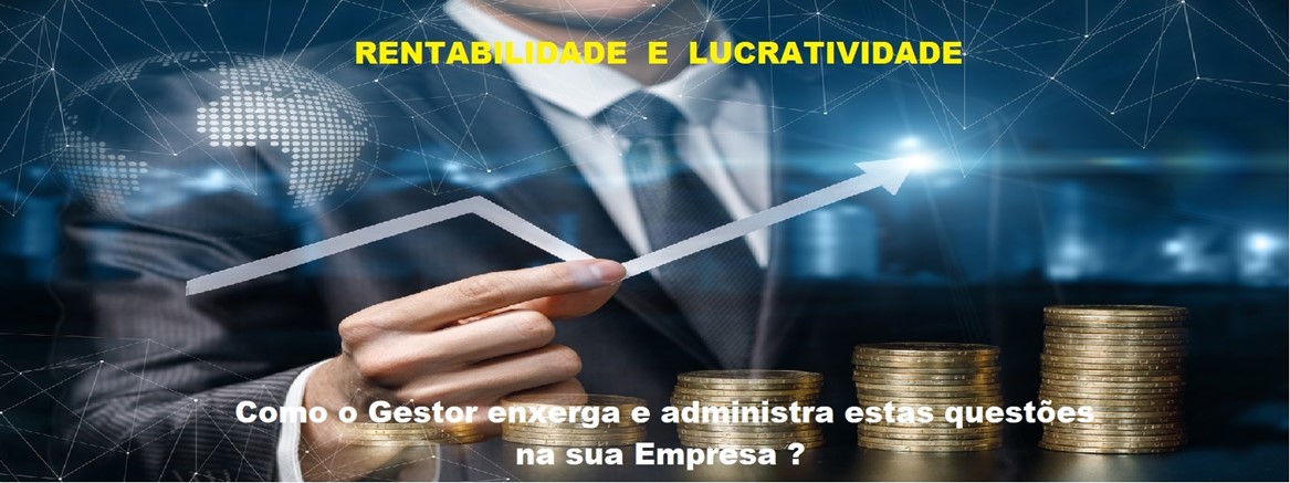 Rentabilidade Lucratividade